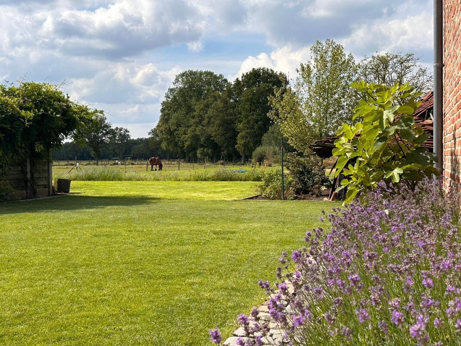 B&B Droomzoet Herentals Exterior foto